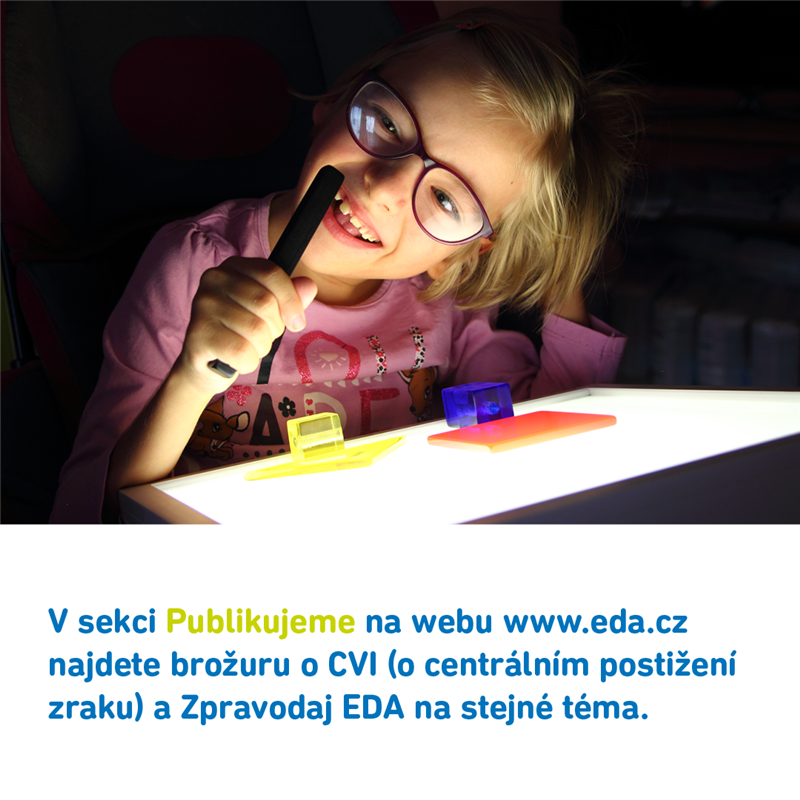 Opět o centrálním postižení zraku