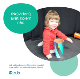 Snímek obrazovky 2026-02-04 095928