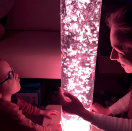 Snímek obrazovky 2026-03-03 145808