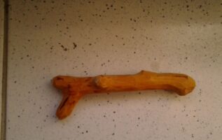 Třešňové kousátko2