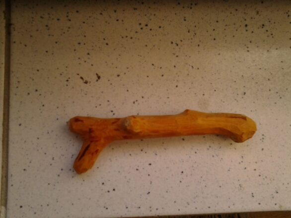 Třešňové kousátko2